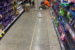 IMG_7598