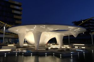 IMG_6620
