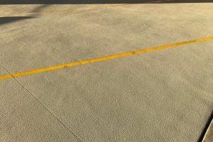IMG_6445
