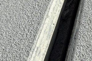 IMG_8737