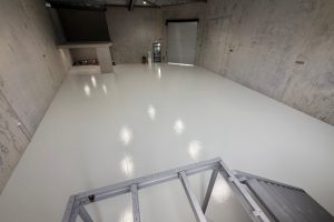 IMG_3559 IMG_3559
